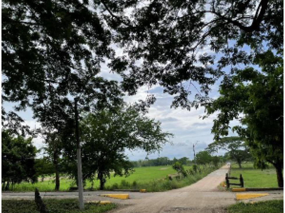 Lotes en venta en Urbanización Palma Verde, Montería - 4