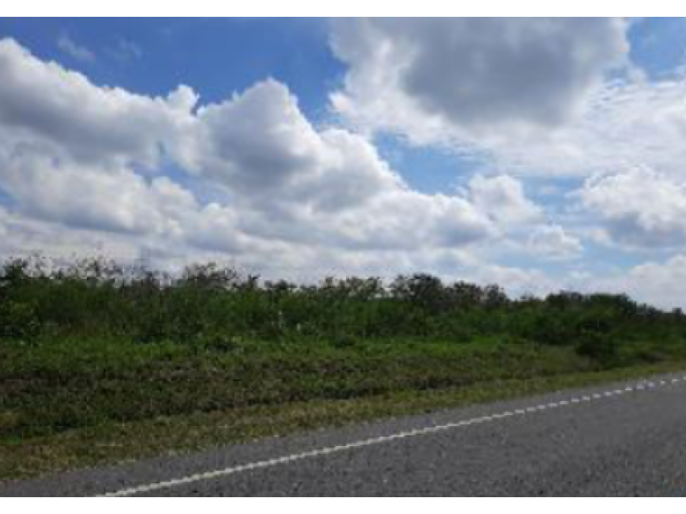 Lote rural,Vereda Camala,Flandes - 3