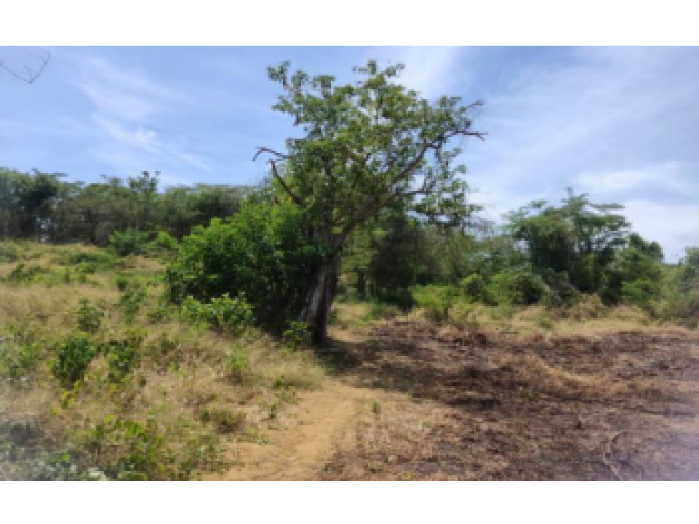 Finca - Terreno en El Carmen de Bolivar, Bolivar - 4