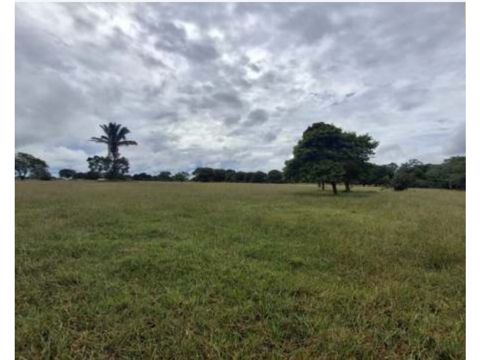 Lote Veda Jaguito Paz de Ariporo Casanare - 4