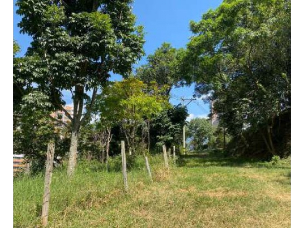 Lotes María Bonita en Vereda La Doctora, Sabaneta - Antioquia — foto 4