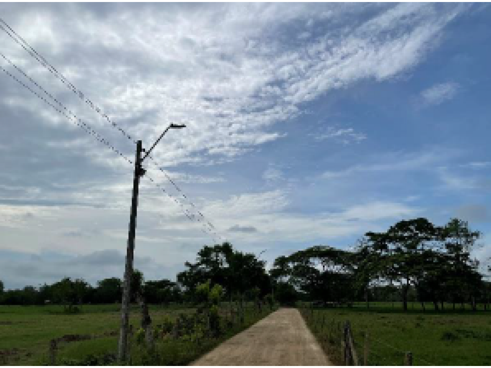 Lotes en venta en Urbanización Palma Verde, Montería - 5