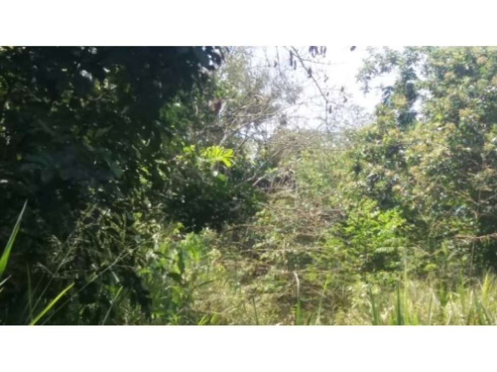 Lote, Club mesa de yeguas,Anapoima - 6