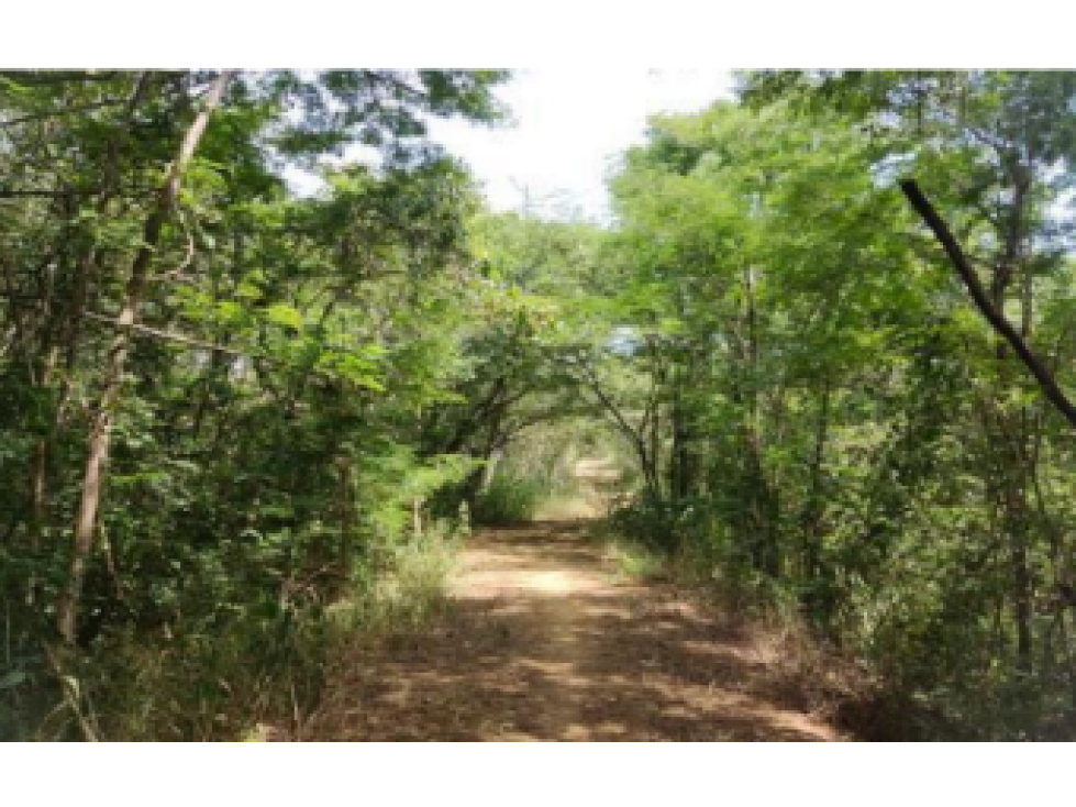 Finca - Terreno en El Carmen de Bolivar, Bolivar - 5