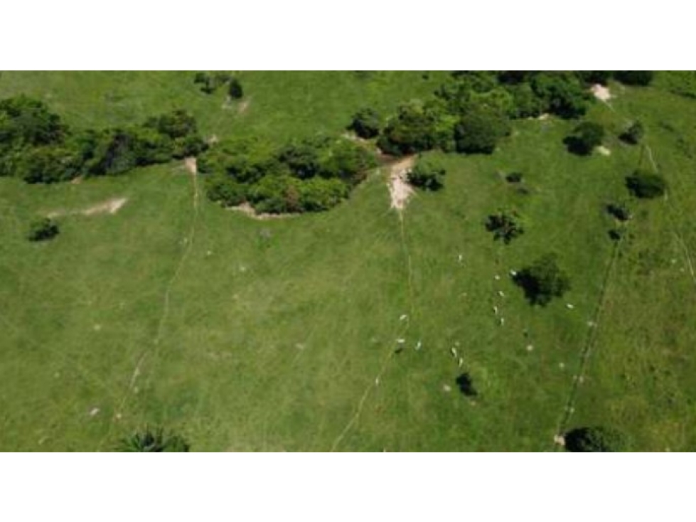 Lote Veda Jaguito Paz de Ariporo Casanare - 5