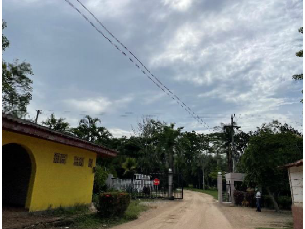 Lotes en venta en Urbanización Palma Verde, Montería - 6