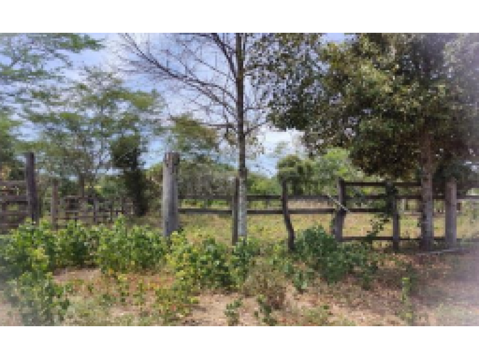 Finca - Terreno en El Carmen de Bolivar, Bolivar - 6