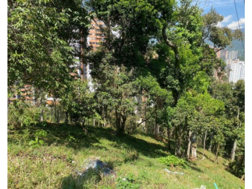Lotes María Bonita en Vereda La Doctora, Sabaneta - Antioquia — foto 6