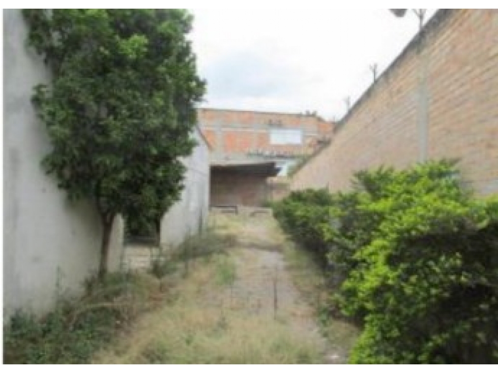 Bodega Trinidad - Pitalito, Huila - 2