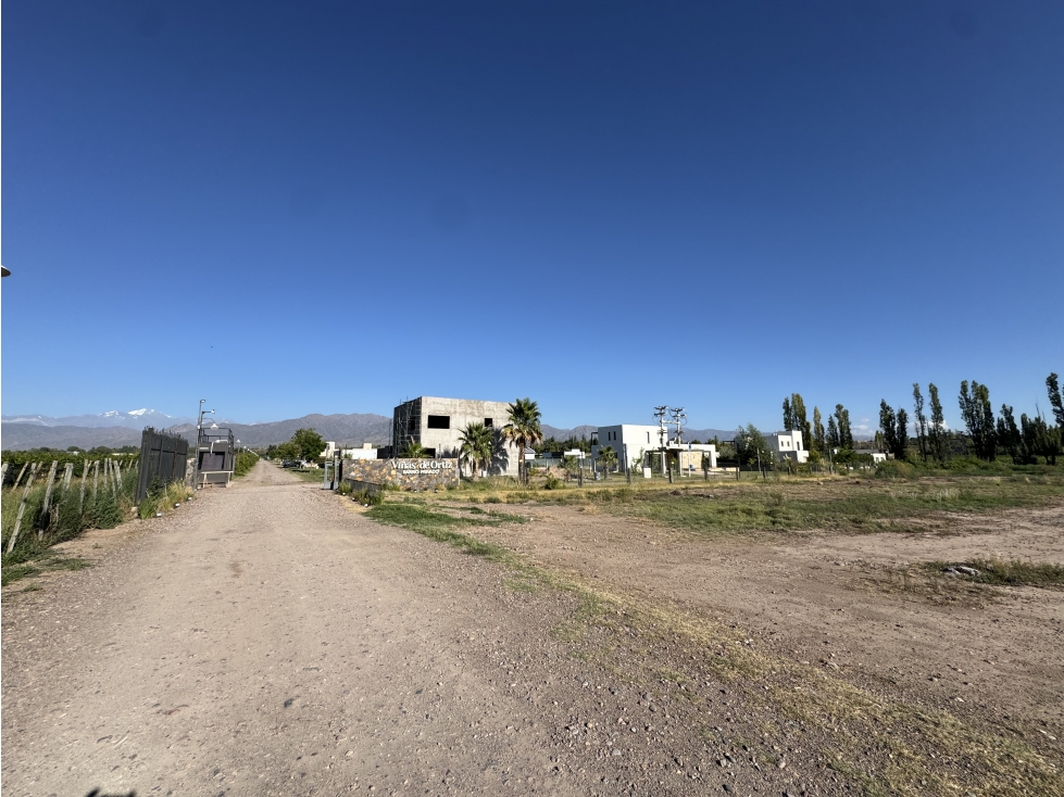 VIÑA DE ORTIZ - VISTALBA - 2