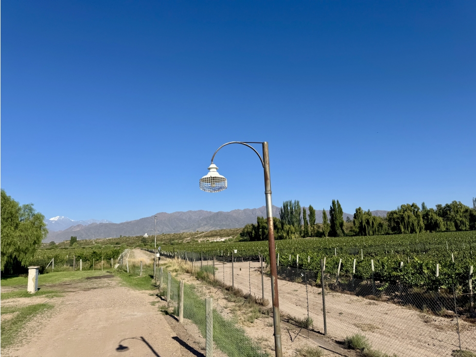 VIÑA DE ORTIZ - VISTALBA - 5