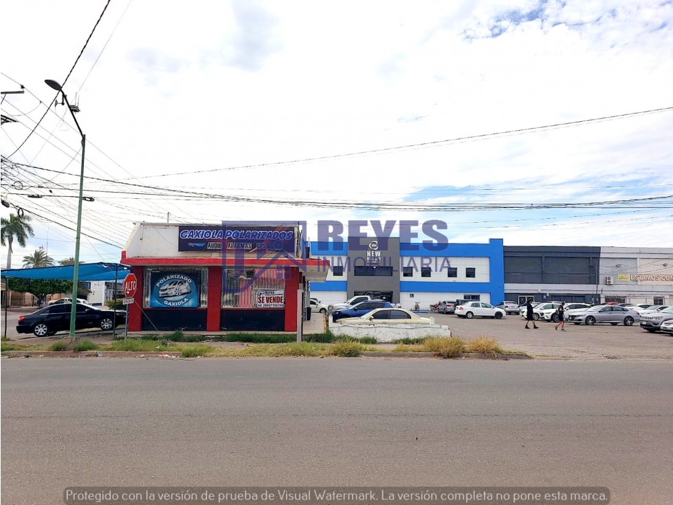 SE VENDEN 4 LOCALES COMERCIALES C. QUINTANA ROO EN CD. OBREGÓN - 4