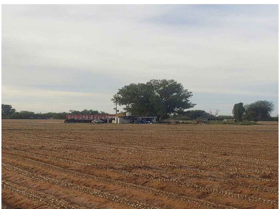 SE VENDE 17.87 HECTAREAS TERRENO AGRICOLA COL. COCORIT SONORA - 5