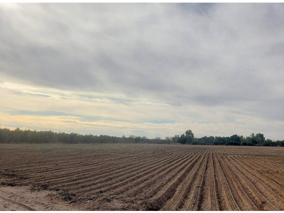 SE VENDE 17.87 HECTAREAS TERRENO AGRICOLA COL. COCORIT SONORA - 4