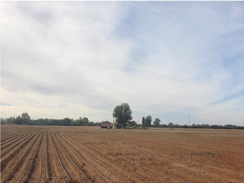 SE VENDE 17.87 HECTAREAS TERRENO AGRICOLA COL. COCORIT SONORA - 3