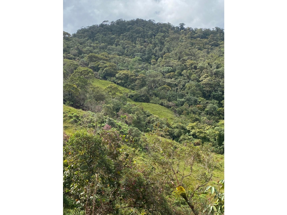 Finca en el Santuario Antioquia - 4