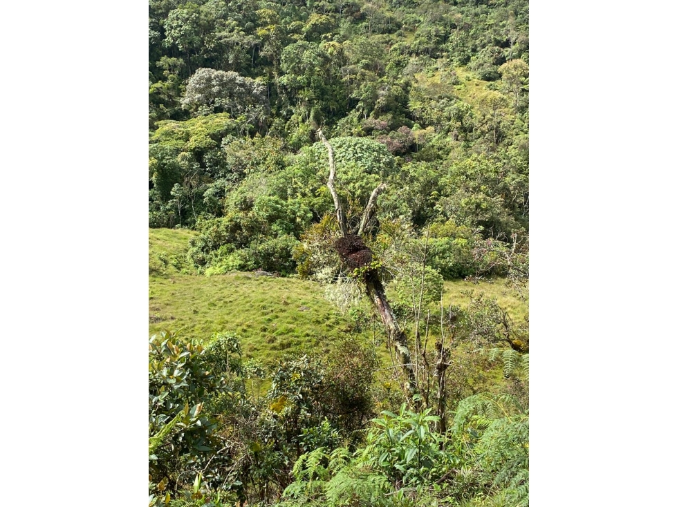 Finca en el Santuario Antioquia - 6
