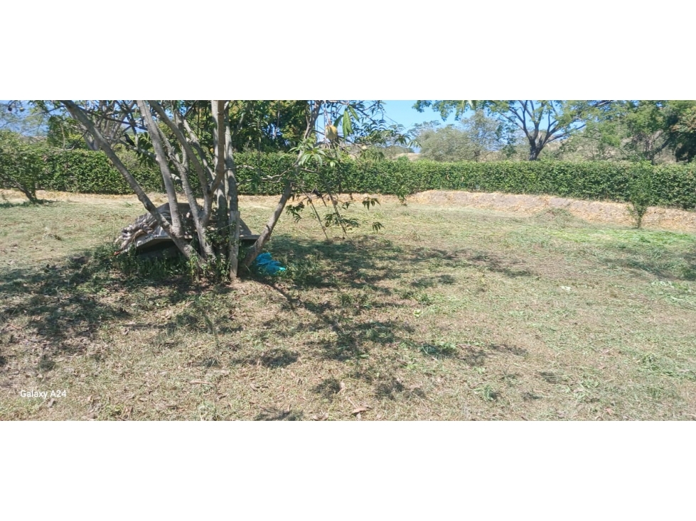 lote sopetran — foto 3