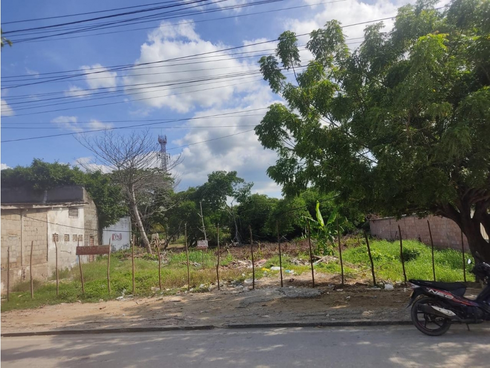 Lote Coveñas - 1