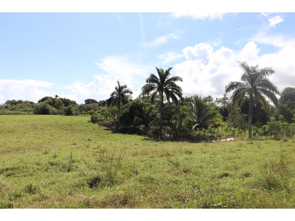 VENTA DE LOTE DE PLAYA LINDA VISTA, POCRÍ - 6