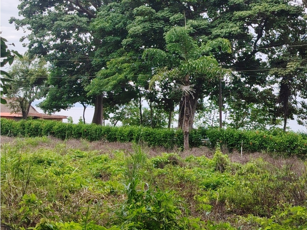 Venta de lote frente al mar en Playa Bucaro, Tonosí Los Santos - 3