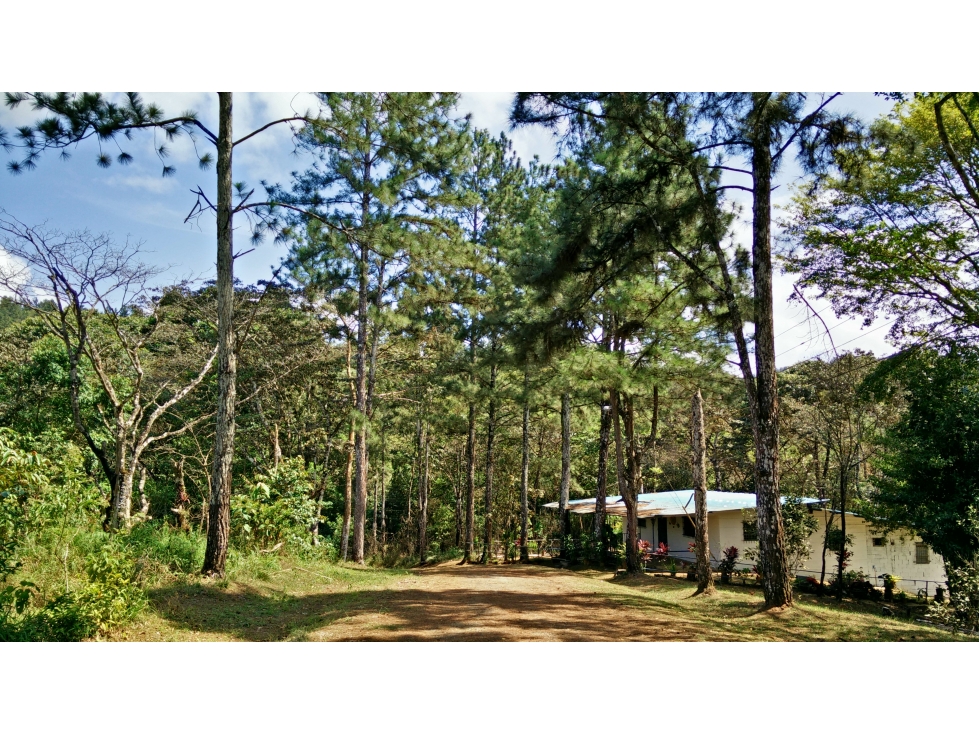 Venta de terreno en Cerro Azul - 2