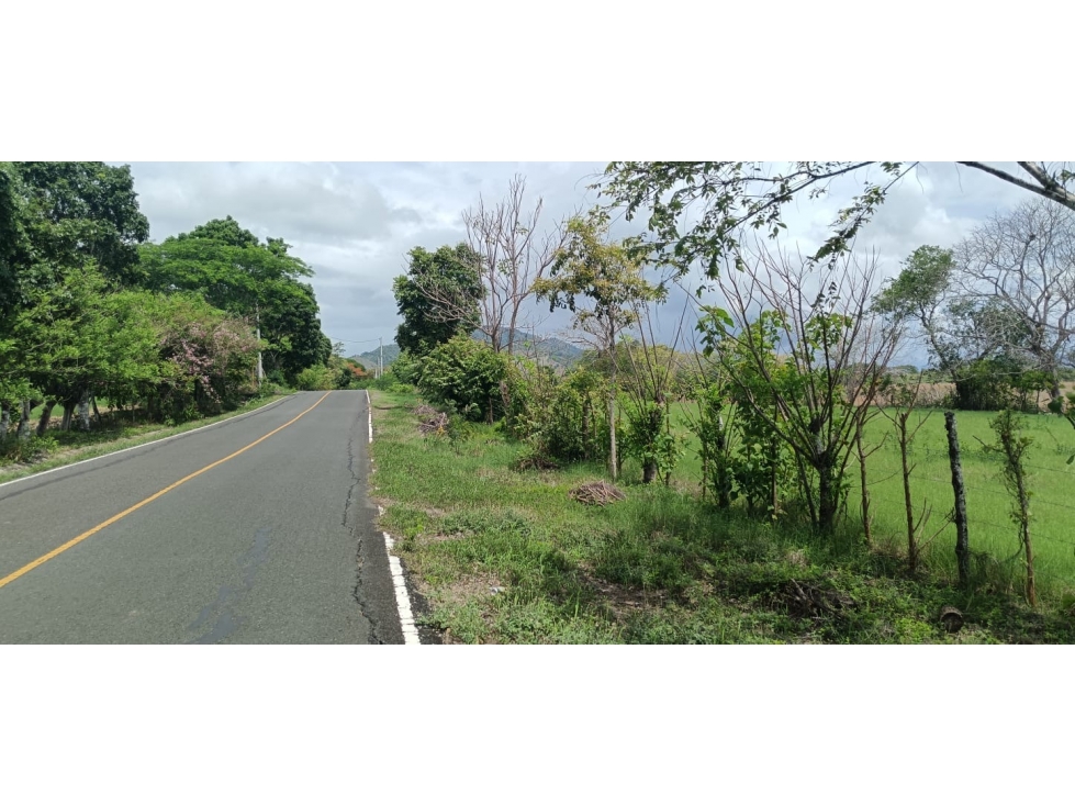 Terreno en venta en Tonosí Vía Bucaro - 2