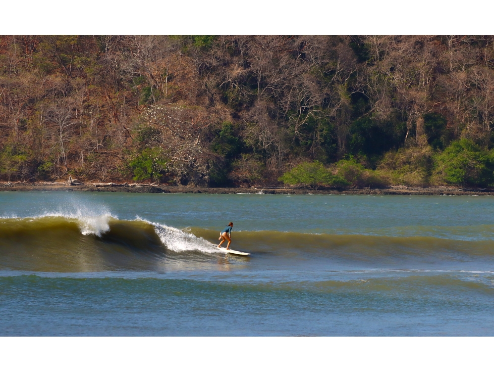 VENTA DE LOTE EN CAÑAS CERCA DE PLAYA VENAO - 1