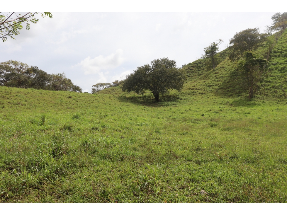 VENTA DE FINCA EL LORO, VÍA LAS TABLAS / TONOSÍ - 1