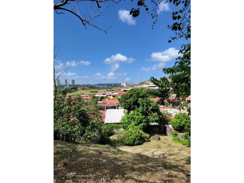 Lotes de Terreno en venta Residencial El Bosque, San Miguelito — foto 3