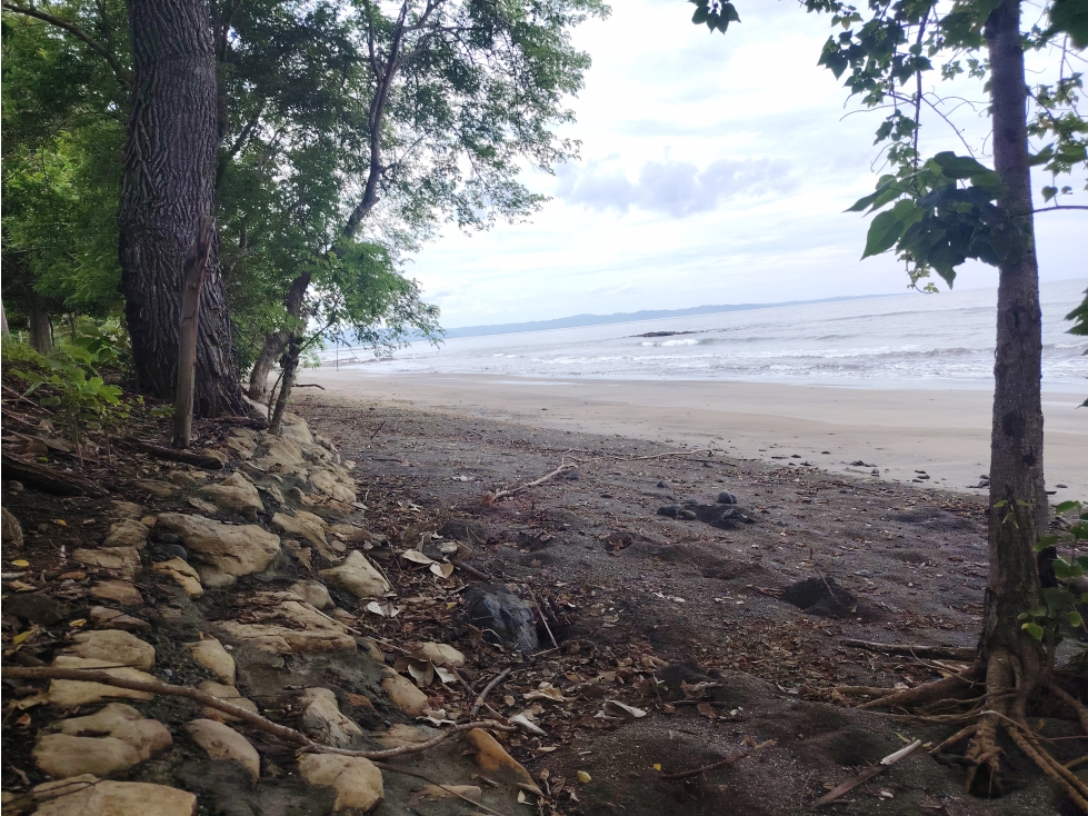 Venta de lote frente al mar en Playa Bucaro, Tonosí Los Santos - 1