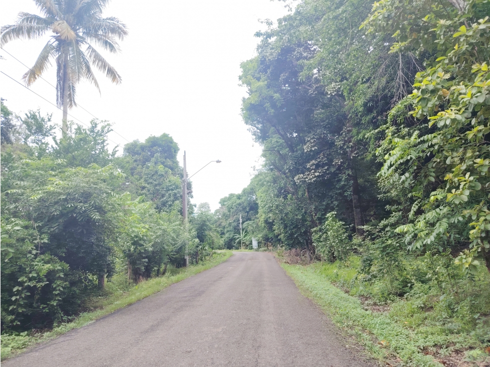 Venta de lote en Playa Guanico, Tonosí Los Santos - 3