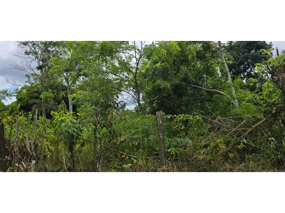 Venta de terrenos en Nuevo Emperador, Arraiján. MY - 5