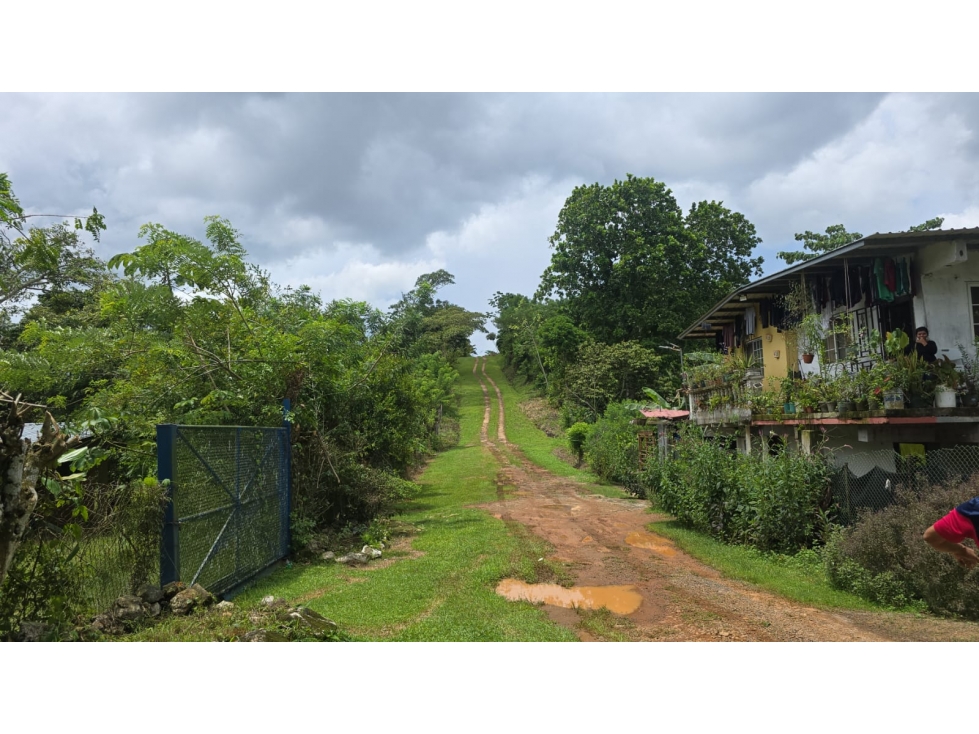 Venta de terrenos en Nuevo Emperador, Arraiján. MY - 4