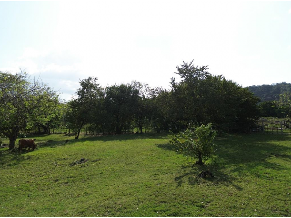 Venta de terreno campestre en el Espavé, Chame — foto 2