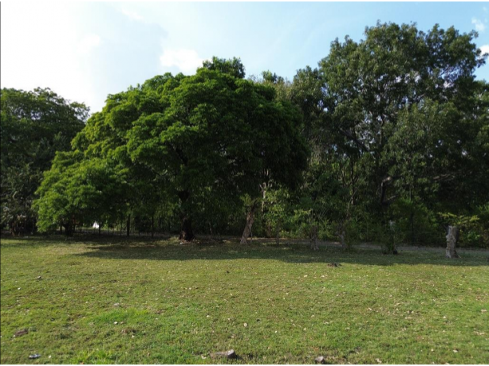 Venta de terreno campestre en el Espavé, Chame — foto 4