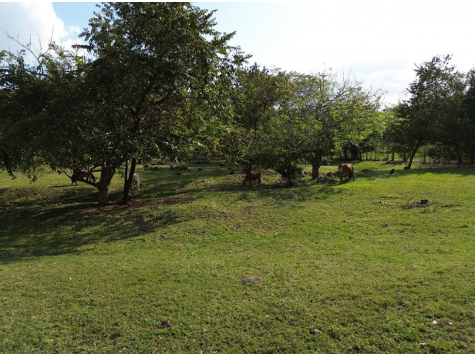 Venta de terreno campestre en el Espavé, Chame — foto 6