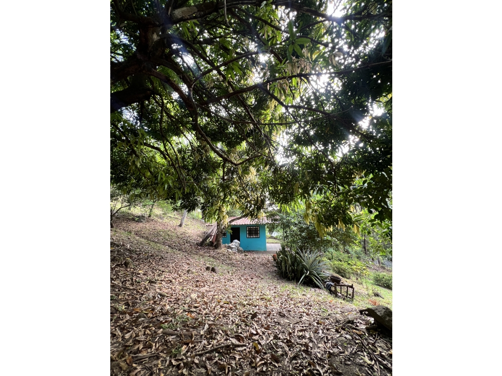 Venta de terreno con casa frente al Río Pacora, Vía hacia San Miguel - 2