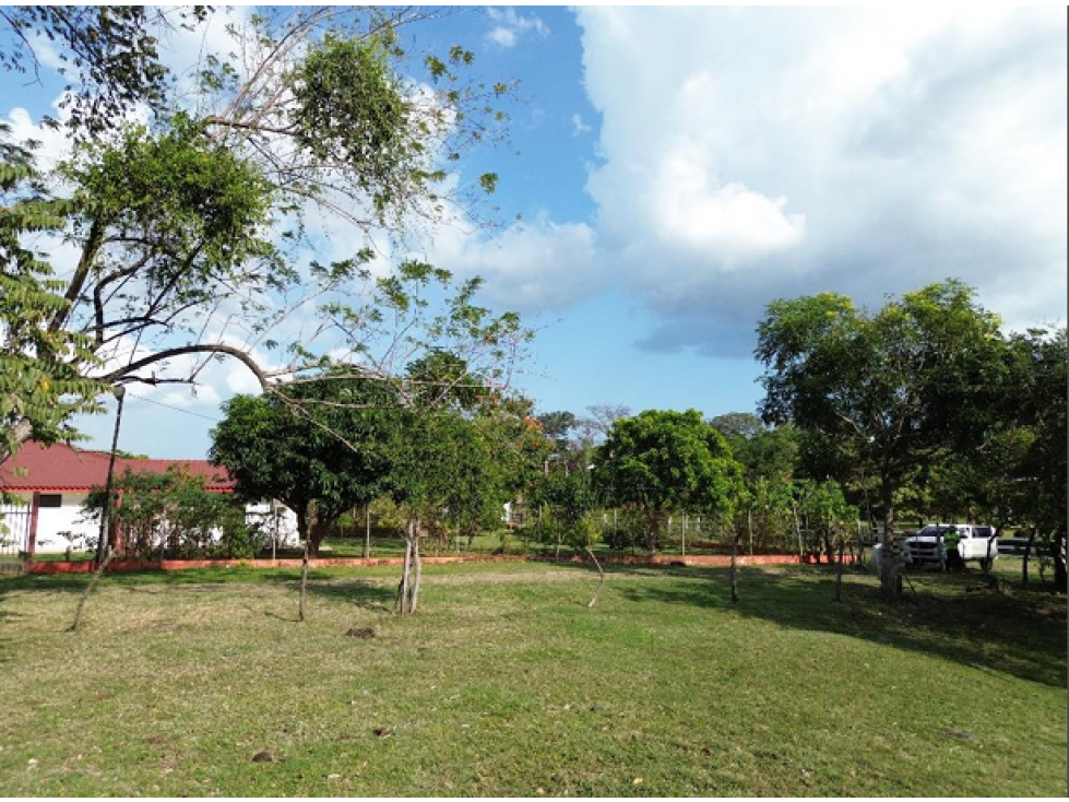 Venta de terreno campestre en el Espavé, Chame — foto 3