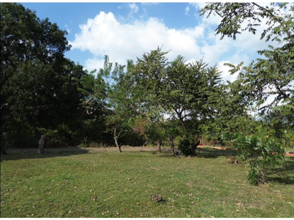 Venta de terreno campestre en el Espavé, Chame — foto 5