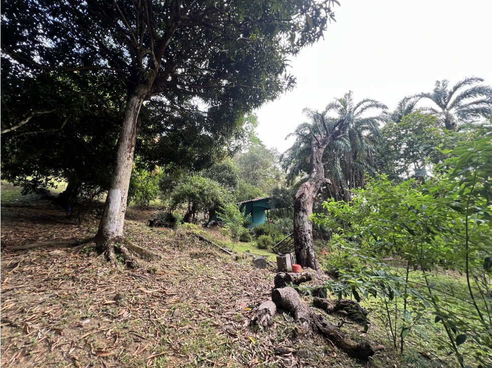 Venta de terreno con casa frente al Río Pacora, Vía hacia San Miguel - 4