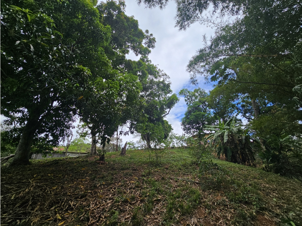 Se Vende Casa con amplio terreno en Arraiján, Panamá Oeste — foto 4