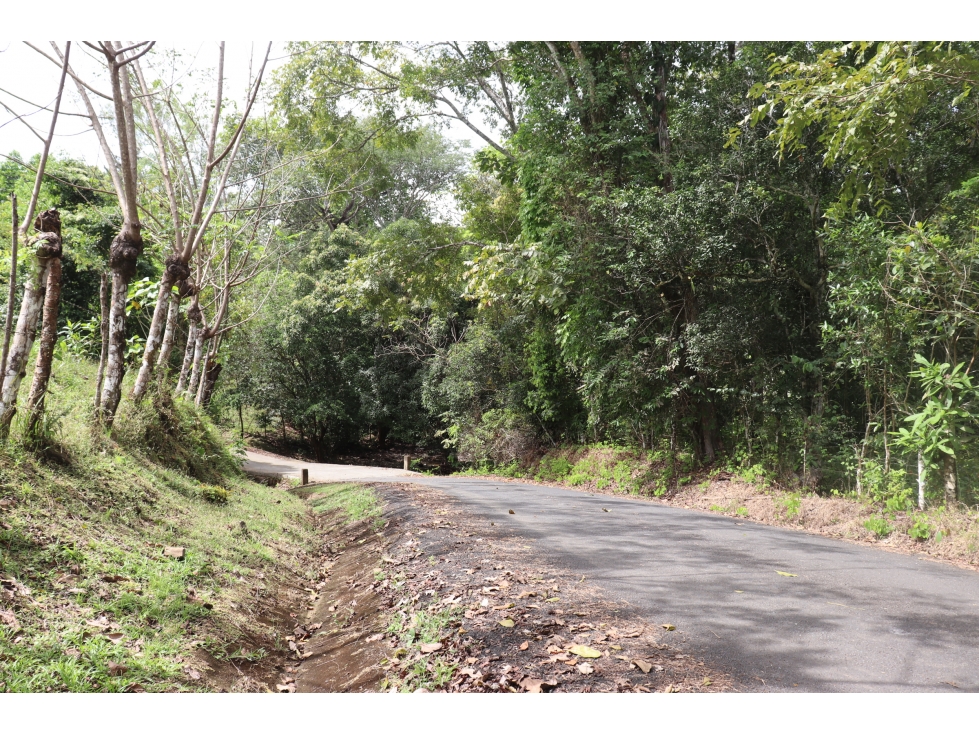 VENTA DE FINCA EL LORO, VÍA LAS TABLAS / TONOSÍ - 6