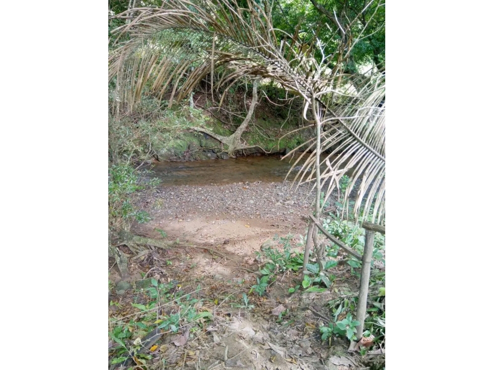 VENTA DE FINCA EN TOLÚ, LOS SANTOS - 2
