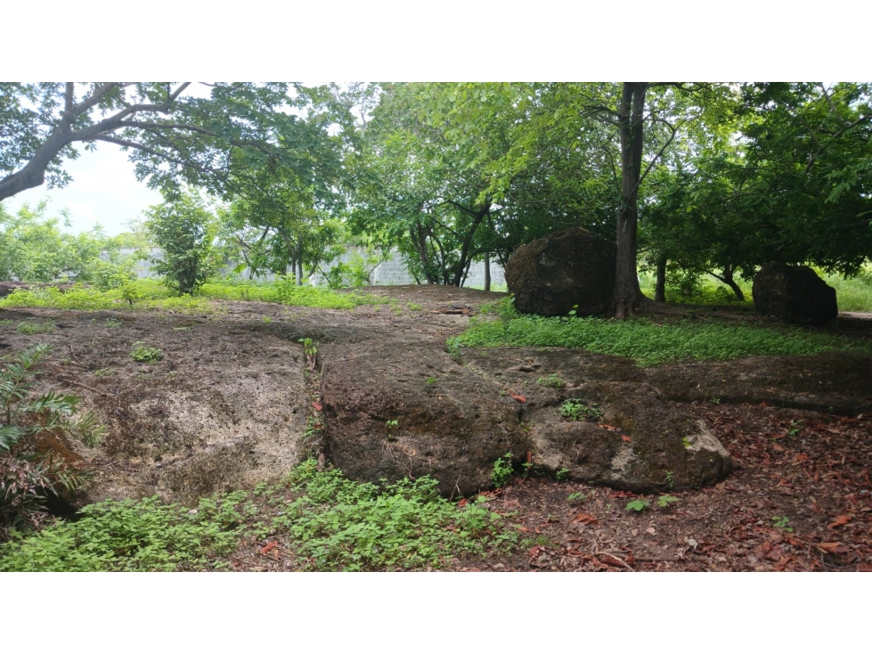 Venta de terreno en Nueva Gorgona, Chame — foto 2