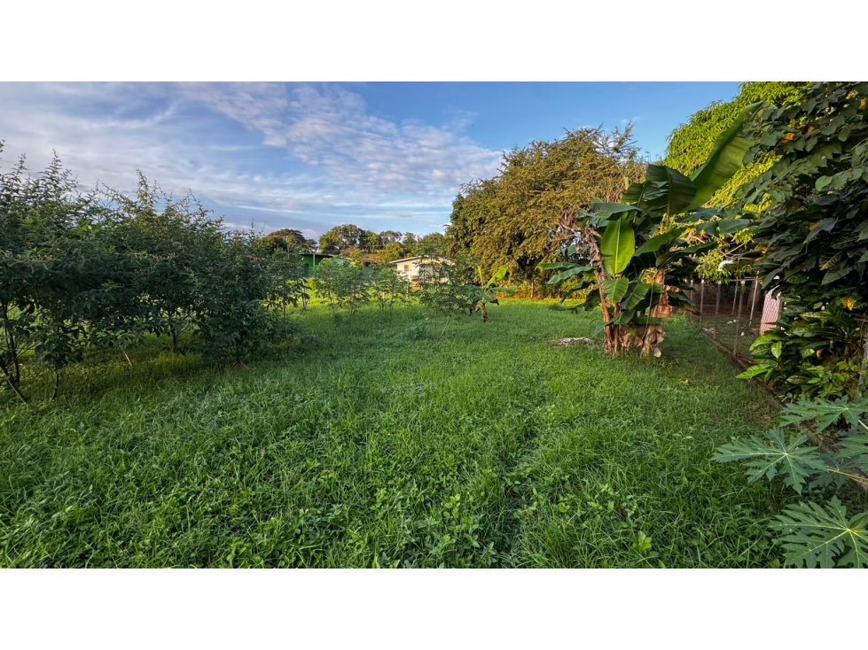 Venta de terreno en La Primavera, las Tablas. - 3