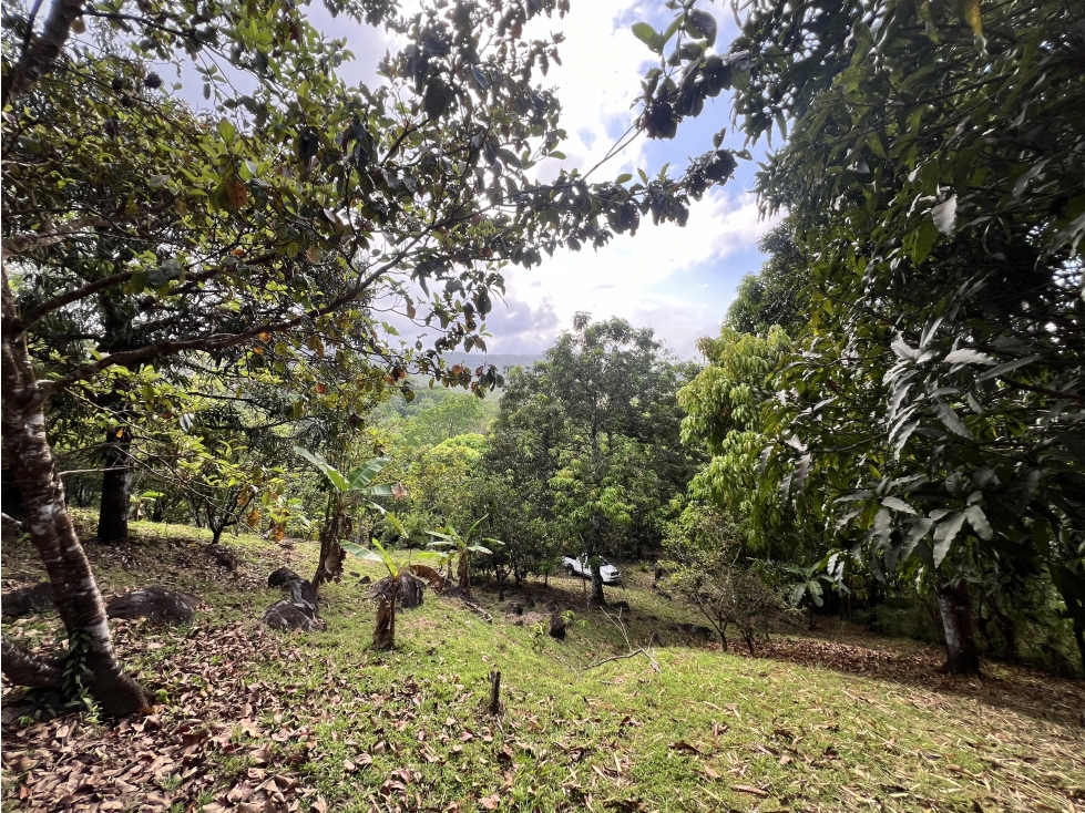 Venta de terreno con casa frente al Río Pacora, Vía hacia San Miguel - 5