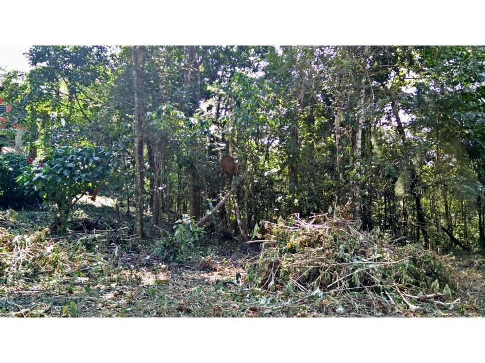 Venta de terreno en Cerro Azul - 3