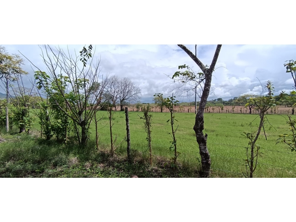 Terreno en venta en Tonosí Vía Bucaro - 3