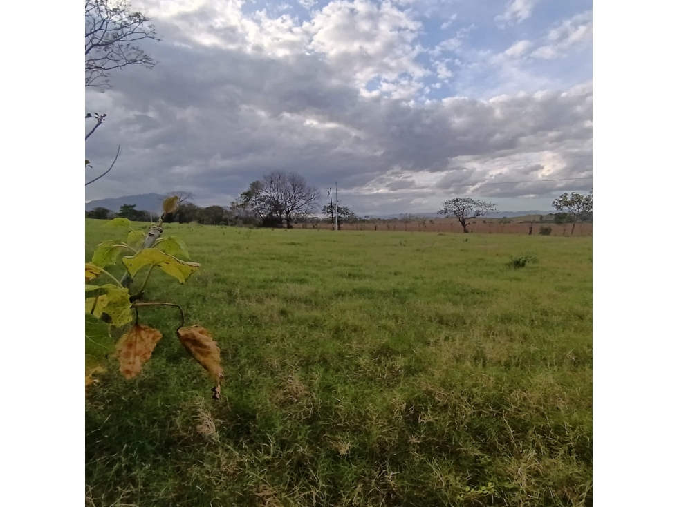 Venta de Lote Titulado de 1,005 m² en Tonosí - 5